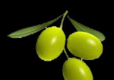 Польза оливкового масла для ногтей и способы применения